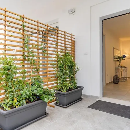 Doctor Apartment *
